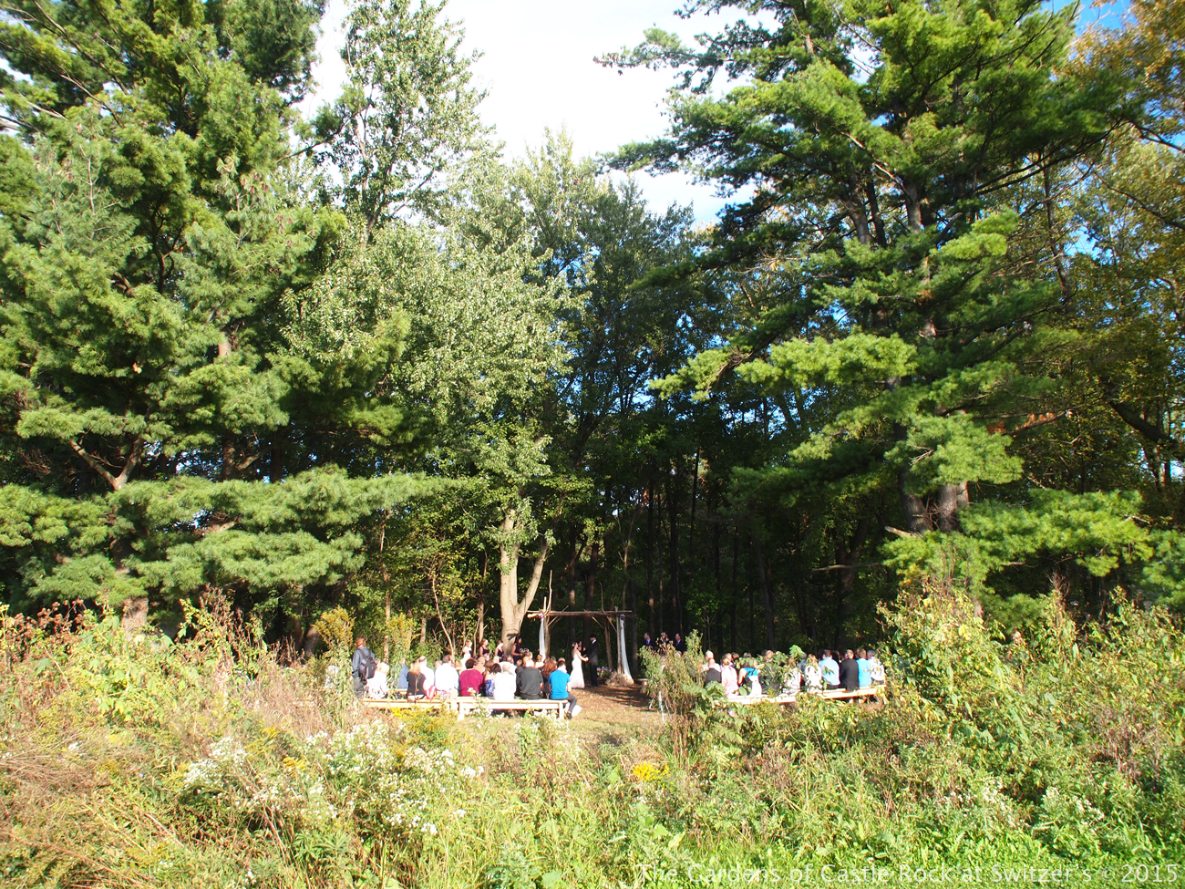 Beautiful Fall Wedding ~ Wedding in the Woods at The Gardens