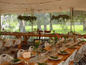 Jessa & Alex at The Gardens of Castle Rock - Minnesota Nature Inspired Wedding