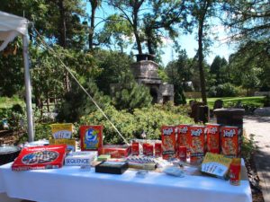 Michelle & Brian at The Gardens of Castle Rock ~ Minnesota Garden Wedding Party - Wedding Day Fun with board games